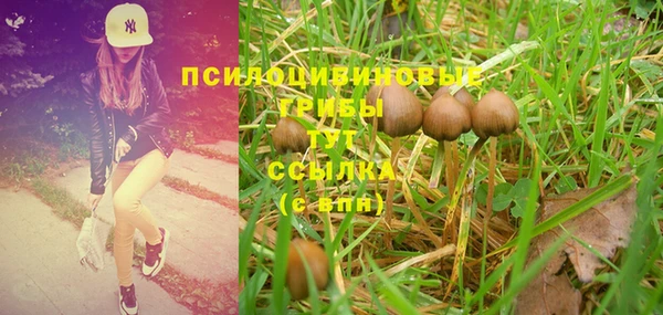 PSILOCYBIN Бронницы