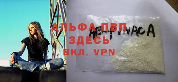 спиды Верея