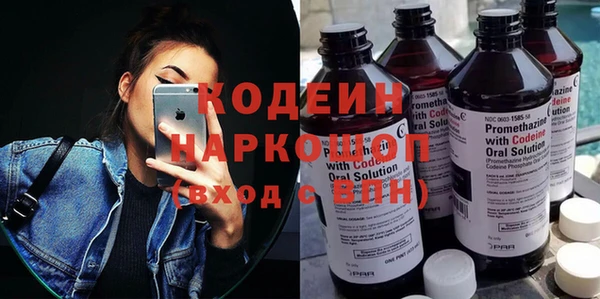 мдпв Бородино